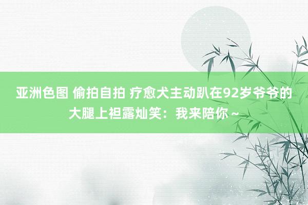 亚洲色图 偷拍自拍 疗愈犬主动趴在92岁爷爷的大腿上袒露灿笑：我来陪你～