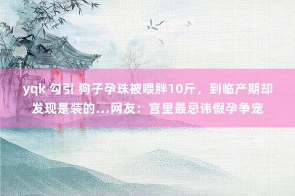 yqk 勾引 狗子孕珠被喂胖10斤，到临产期却发现是装的…网友：宫里最忌讳假孕争宠
