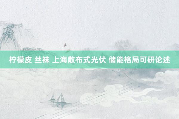 柠檬皮 丝袜 上海散布式光伏 储能格局可研论述