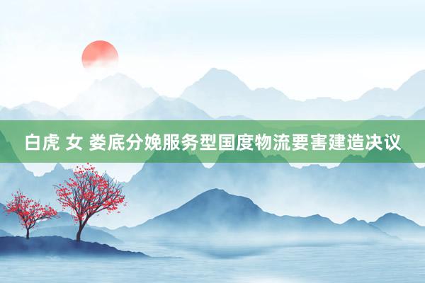白虎 女 娄底分娩服务型国度物流要害建造决议