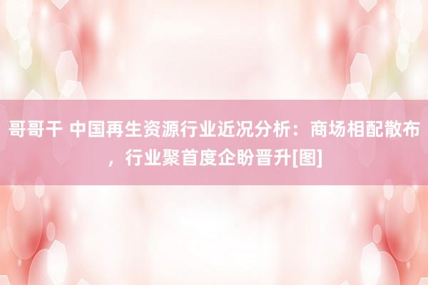 哥哥干 中国再生资源行业近况分析：商场相配散布，行业聚首度企盼晋升[图]