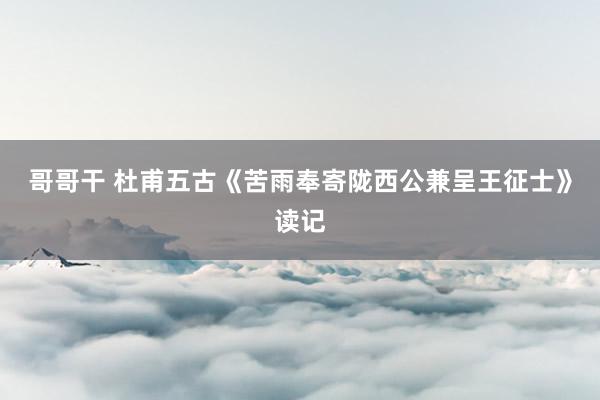 哥哥干 杜甫五古《苦雨奉寄陇西公兼呈王征士》读记