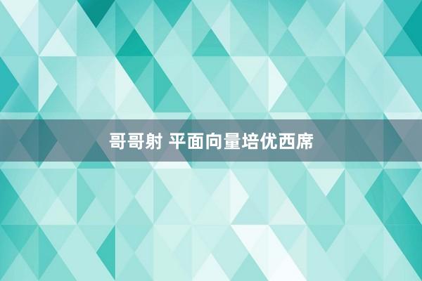 哥哥射 平面向量培优西席